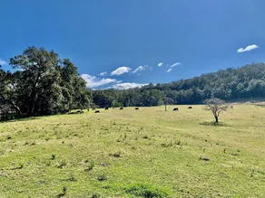 'Old Byora Vineyard' | Luxury Homestead | Sleeps 10 | 5 mins from Wollombi  - Image 5