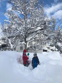 Chalet Silver Fox - Image 2