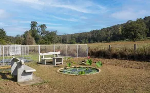The Deer Meadows - Image 3
