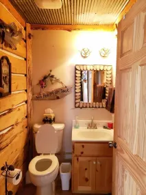 Blissful cozy, year round, lakeside cabin on Butternut Lake.  Dogs welcome. - Image 4