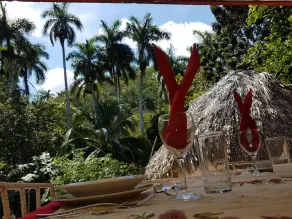 Casa Montana Tropical (San Vicente) - Image 4