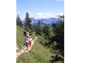 Apart Greber - Image 4