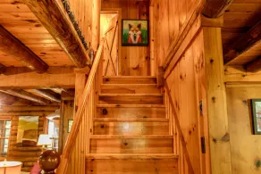 Dupont Forest Trailside Cabin - Image 2