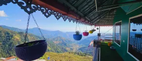 TEA NEST CAFE ND HOMESTAY - Image 3