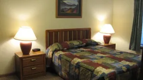 2BR Wohnung umgestaltet Great Smokey Mountains Dollywood Old Mill 4. Juli - Image 2