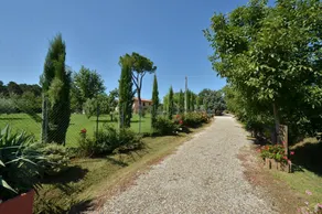 Casa Il Pino - Image 4