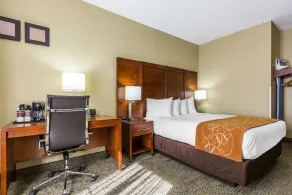 Comfort Suites, Lansing - Located 30-minute to Chicago Midway Int'l Airport - Image 2