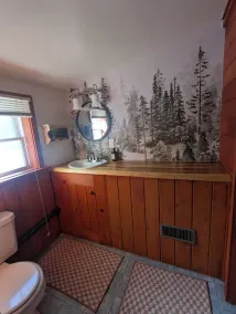 Private, Cozy Cottage in the woods - Image 3