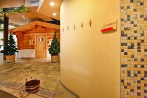 Ferienhaus in Wernigerode mit Innenpool - Image 2