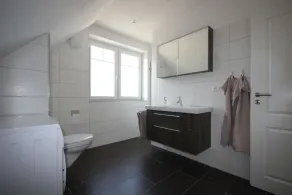 Feel-good oasis with balcony near the Elbe, close to the city center with lots of nature, free WiFi - Image 3
