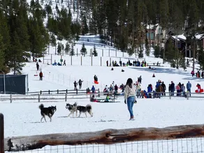Gorgeous Views. 9 Hot Tubs. Ski-in/Ski-out Studio! - Image 2