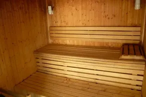 Wifi, bis 50m skipiste, schwimmbad, sauna, hammam, balkon, fernseher, schließfach für die skier - Image 2