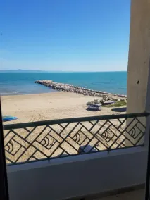 Palm Hotel - Image 5