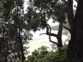 WITHAVEN - Perfekt zu den Stränden und Geschäften in Jervis Bay - Image 5