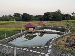 Sakahan Farm - Image 3