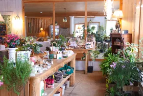 Unique Coastal Maine Flower Farm Stay - Image 2