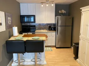 Peaceful Condo in Wabasha with Beautiful River Bluff Views (Upper Unit) - Image 5