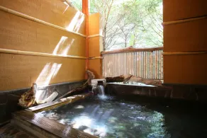 Dormy Club Karuizawa - Image 2