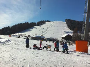 Ultimativ ro på 1.100 m - det østrigske Alm - Image 2