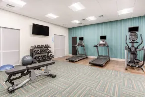 Holiday Inn Express and Suites Ottawa - Image 5