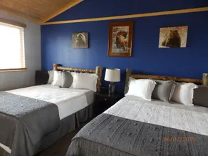 Denali Wildlife Grizzly Cabin Luxury avec une touche de rustique - Image 2