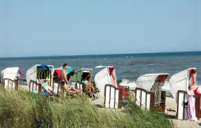 Pet friendly home in Süssau/Ostsee - Image 4