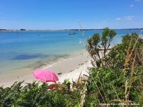 Carnac : Appt 2P+Mezz, Plage à 100m, Parking, Animaux admis - Image 3
