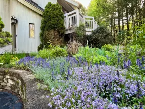 SunnyPeace Modern Home Stay - Image 5