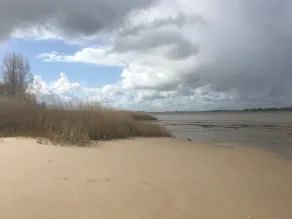 Luxuriöses Landhaus direkt am Deich und Strand - Image 5