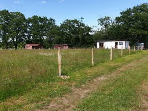 Mobile Home, for 2 adults and 3 children, surrounded by meadows with animals - Image 5