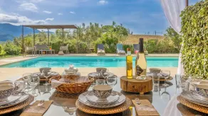 2 villas with swimming pool in an olive grove in Corsica - near Saint-Florent - Image 3