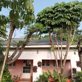 Ose Cottages - Image 4