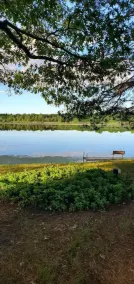 Cozy 2 Bedroom All Season Cottage on Montello Lake - Image 5