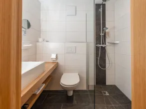 Einzelzimmer Dusche, WC, Balkon - Hotel Lindenhof - Image 2