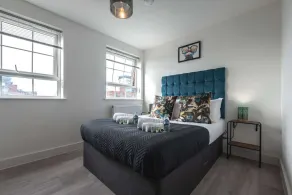 One Spacious Bedroom - Image 3