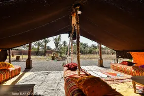 luxury tent in a Farm - Image 2