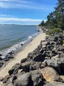 Enjoy Astoria, Long Beach, the Columbia River and Pacific Ocean - Image 5