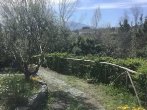 Tenuta Terradifuoco - Image 4