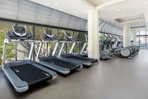 You Found it! San Francisco Getaway! 2 Spacious Units, Cycling, Pets Allowed! - Image 5