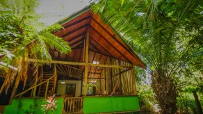 Contemporary Villa in a Four‑Acre Tropical Urban Park, Osa Peninsula - Image 5