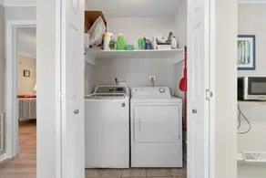 Channel Cat - Gorgeous Cherry Grove Channel House with Pool - Image 2