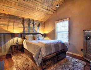 PRIVATE Updated Cabin GAME ROOM & PELOTON - Image 4
