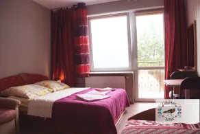 Lavish Holiday Home in Zgorzale Pomeranian With Private Pool - Image 5