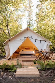 Beautiful Tent at Camp Northern Lights! - Image 4