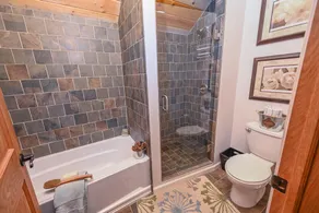 LAKE View w/Hot tub, Fireplace,& firepit - Image 4