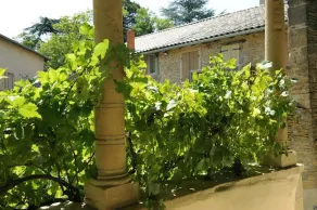 De Pierre et de Vigne - Image 5