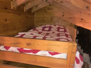 Little Bushy Head -Blue Ridge cabin rental- Wifi- - Image 5