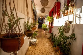 Guesthouse MALAGUETA INN I - Image 5