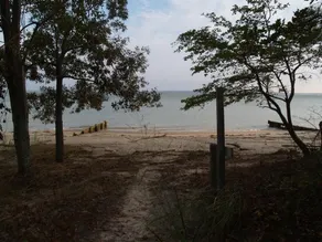 Riverfront - Rustic Cottage - 3+ acres - Wide Private Beach - Image 4