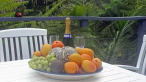 Jacaranda House where beach meets rainforest - Image 4